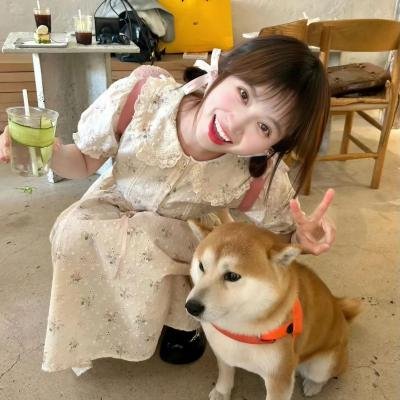 狗假死之物